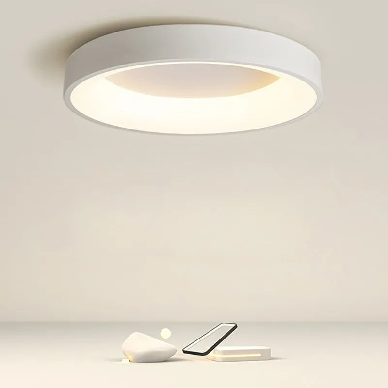 Classical Modern Stepless Dimming LED Ceiling Lamp Kaylinn™ SPINGAR.COM