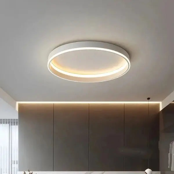 Modern Scandinavian Design Dimmable LED Ceiling Lamp Sander SPINGAR.COM