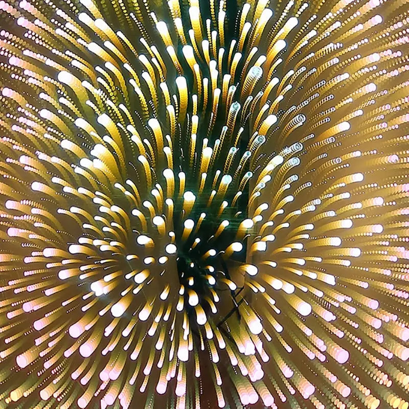 Modern 3D Colorful Starry Sky Glass LED Pendant Lamp Emma™ Spingar.com