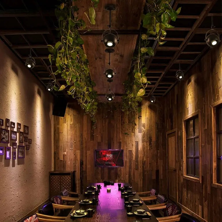 Retro Decorative LED Rail Spotlights SPINGAR.COM