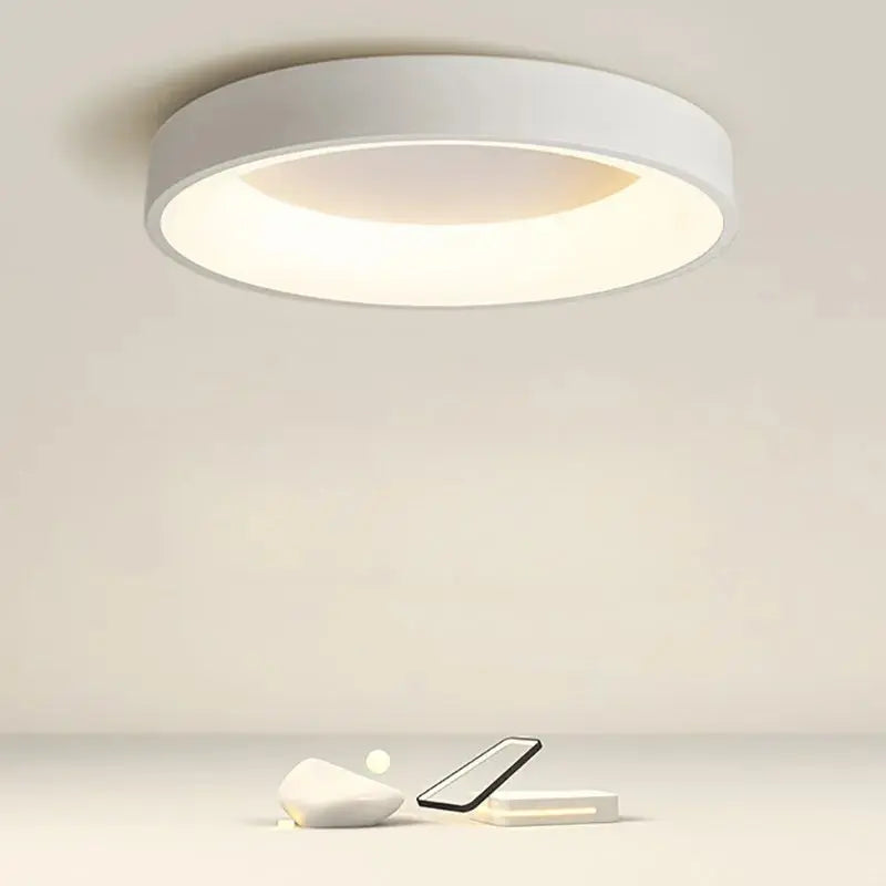 Classical Modern Stepless Dimming LED Ceiling Lamp Kaylinn™ SPINGAR.COM