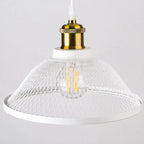 Vintage Retro Iron Net Cage LED Pendant Lamp Lilja SPINGAR.COM